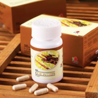 Cápsula Cordyceps