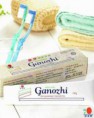 /products/pasta-dentifrica-ganozhi/